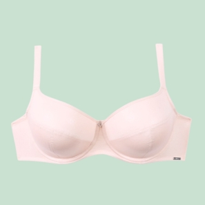 Akce Dorina a Triola